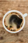 Cortado