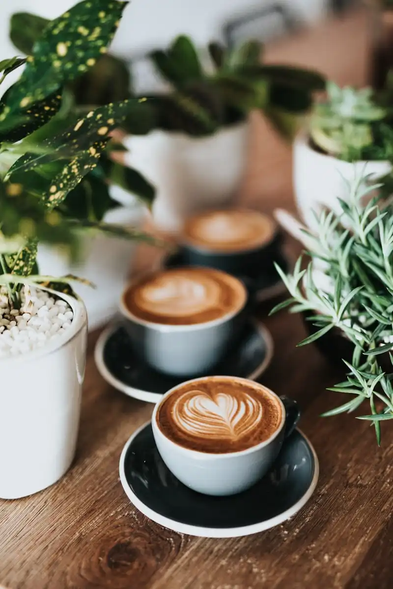 Savor Events — outdoor communal dining gathering
